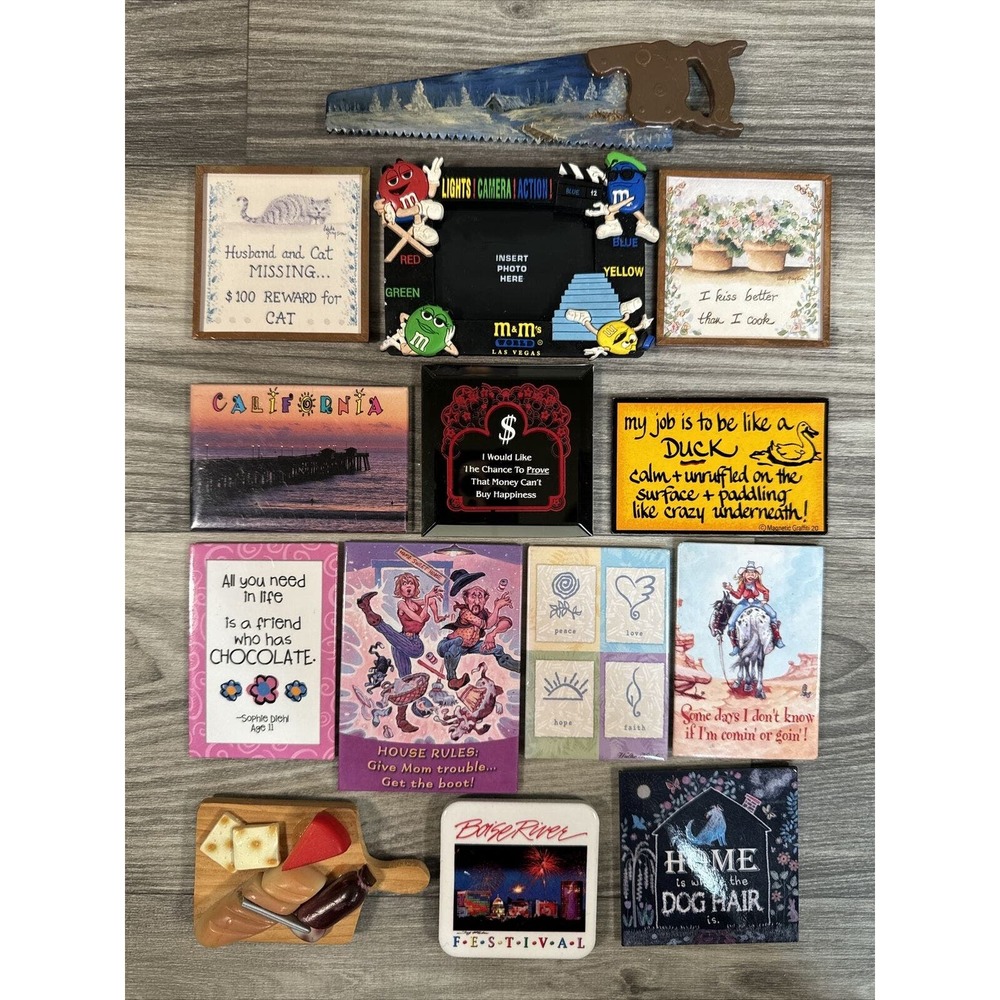 Magnets Refrigerator Magnets LOT of 13